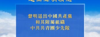 [ID: gSoqcl3dv78] Youtube Automatic