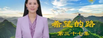 [ID: 43Kjj9v7lxo] Youtube Automatic