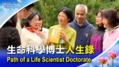 [ID: peoY6l8JDjI] Youtube Automatic