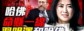 私密：[ID: Kfu2cKiRq4k] Youtube Automatic