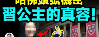 [ID: m2TR49v_PHM] Youtube Automatic