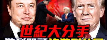 [ID: wPWfCNLLASs] Youtube Automatic