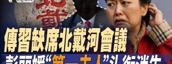 [ID: QJA4fXZPElw] Youtube Automatic