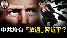 [ID: DBngebFLk-o] Youtube Automatic