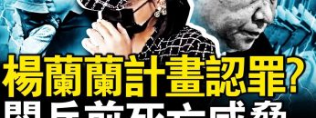 私密：[ID: XKpD2ihmkXI] Youtube Automatic