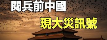 [ID: nR6fsUo3Qjo] Youtube Automatic