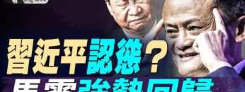 [ID: sZUQicF9IJY] Youtube Automatic