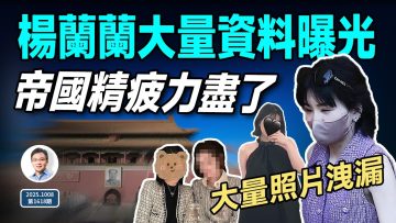 [ID: vb2dZB9VHEo] Youtube Automatic