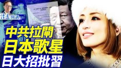 私密：[ID: WUP6OannbdA] Youtube Automatic