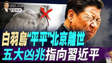 私密：[ID: Y1bUhXxJNDw] Youtube Automatic