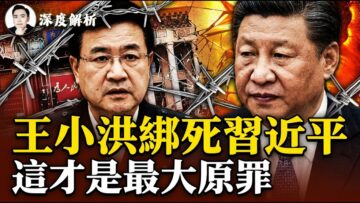 私密：[ID: eWaB6mL6k3U] Youtube Automatic