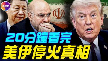 [ID: orTUv0E-CHA] Youtube Automatic